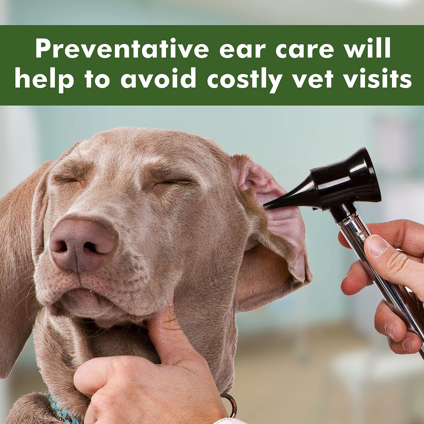 Gentle Ear Cleaning Wipes for Dogs & Cats — 100 Count