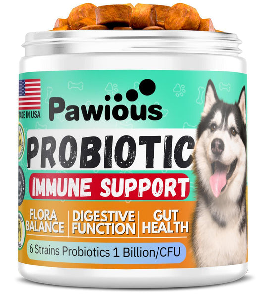 Probiotic & Immune Support Chews for Dogs
