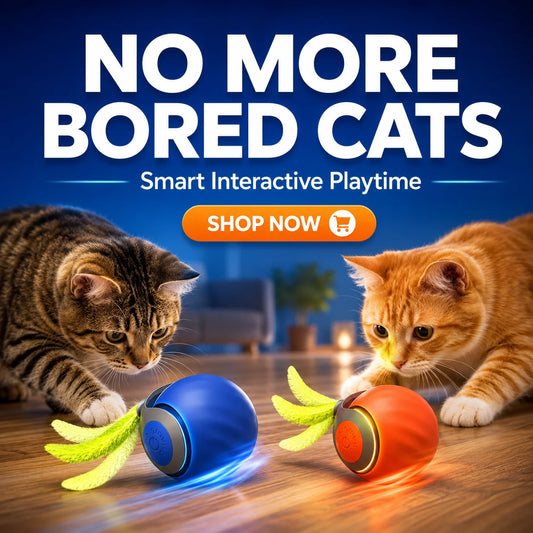 Interactive Smart Rolling Cat Ball toy