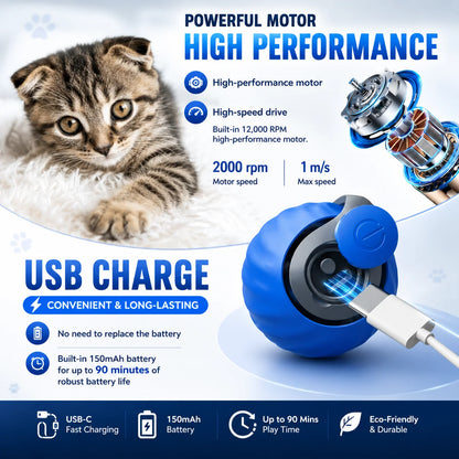 Cat chasing and pouncing on the interactive rolling ball toy