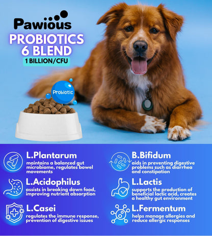 Probiotic & Immune Support Chews for Dogs
