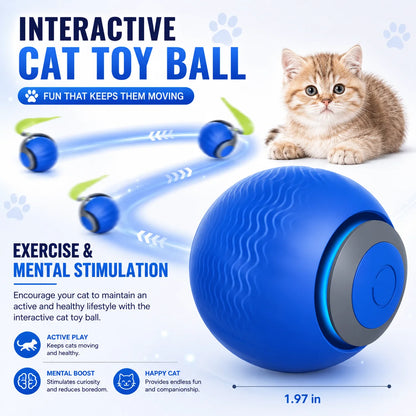 Cat playing with the interactive rolling cat ball toy