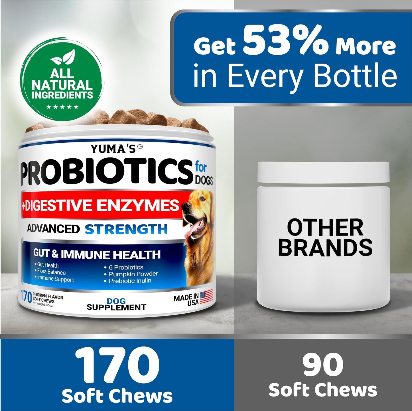 Daily Probiotic Chews for Dogs — 170 Count
