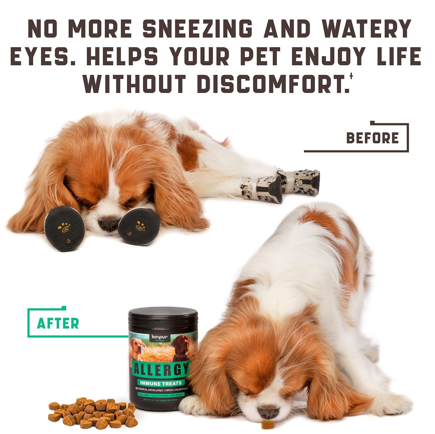 Allergy & Immune Chews for Dogs — 180 Count