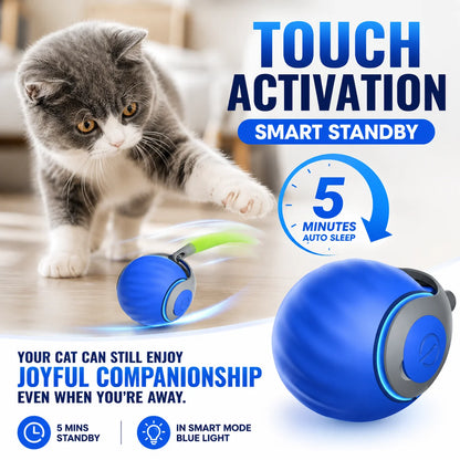 Interactive cat ball toy package contents