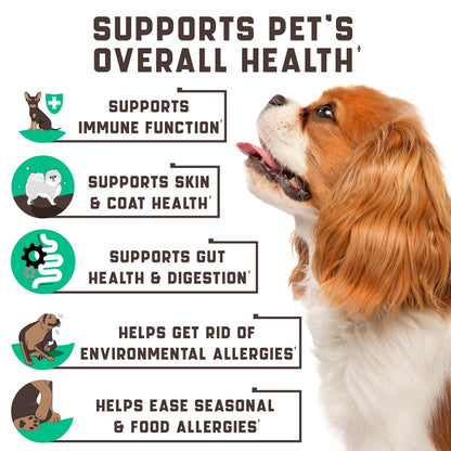 Allergy & Immune Chews for Dogs — 180 Count