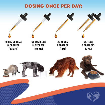Probiotic & Prebiotic Blend for Dogs & Cats