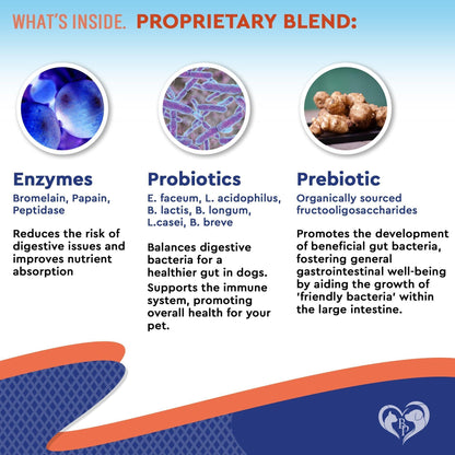 Probiotic & Prebiotic Blend for Dogs & Cats