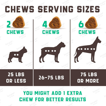 Allergy & Immune Chews for Dogs — 180 Count
