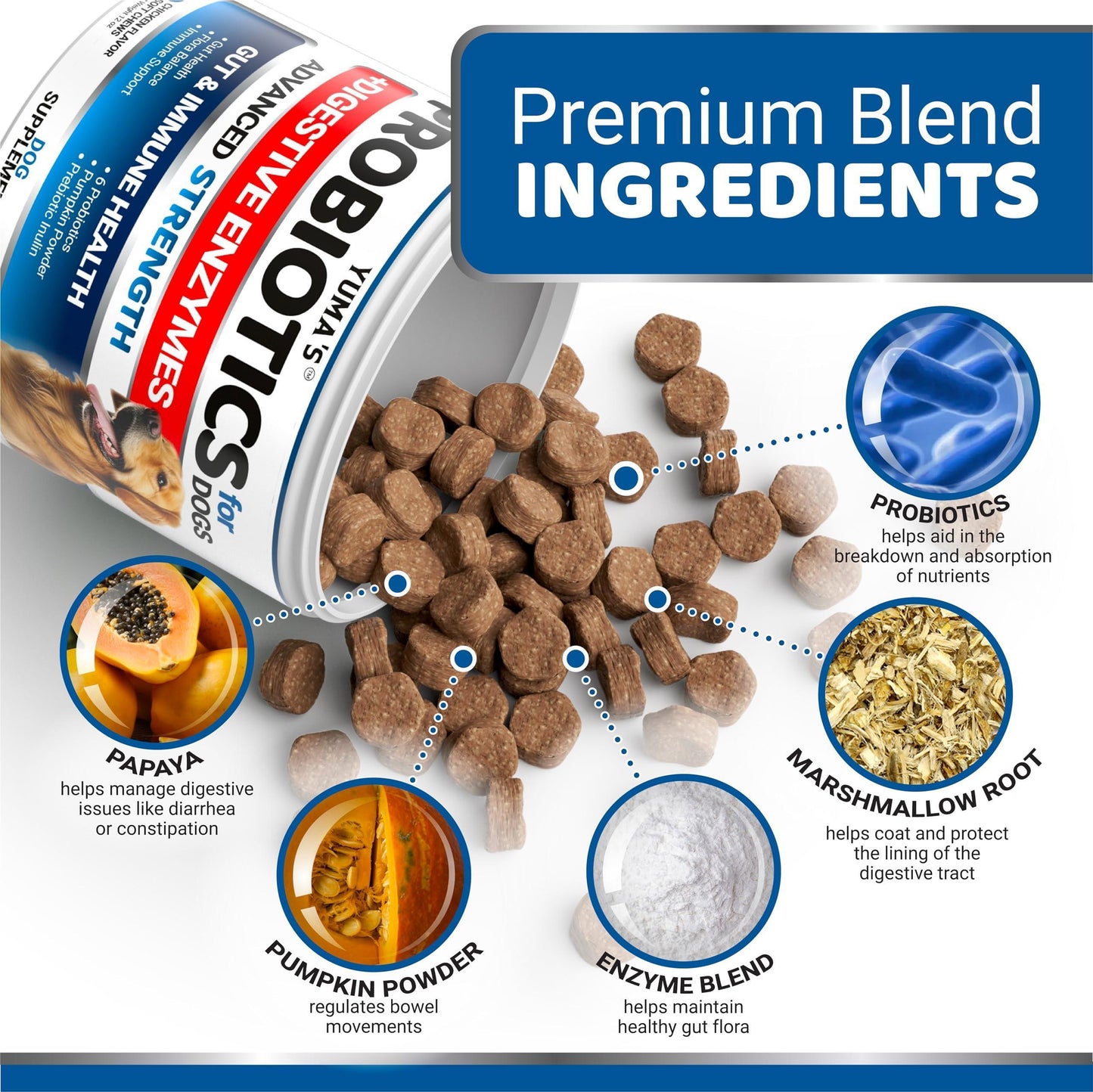 Daily Probiotic Chews for Dogs — 170 Count