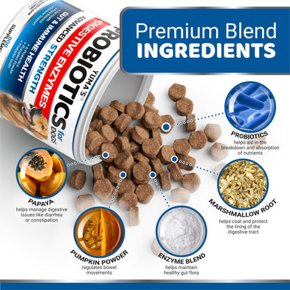Daily Probiotic Chews for Dogs — 170 Count