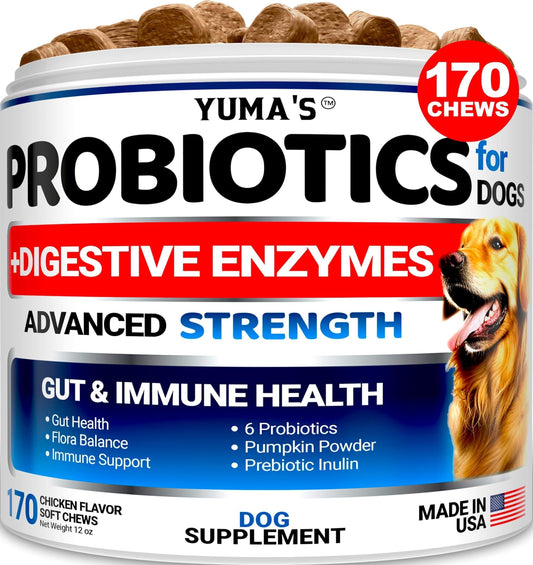 Daily Probiotic Chews for Dogs — 170 Count