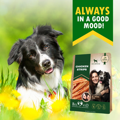 Human-Grade Chicken Strip Treats — 10.6 oz