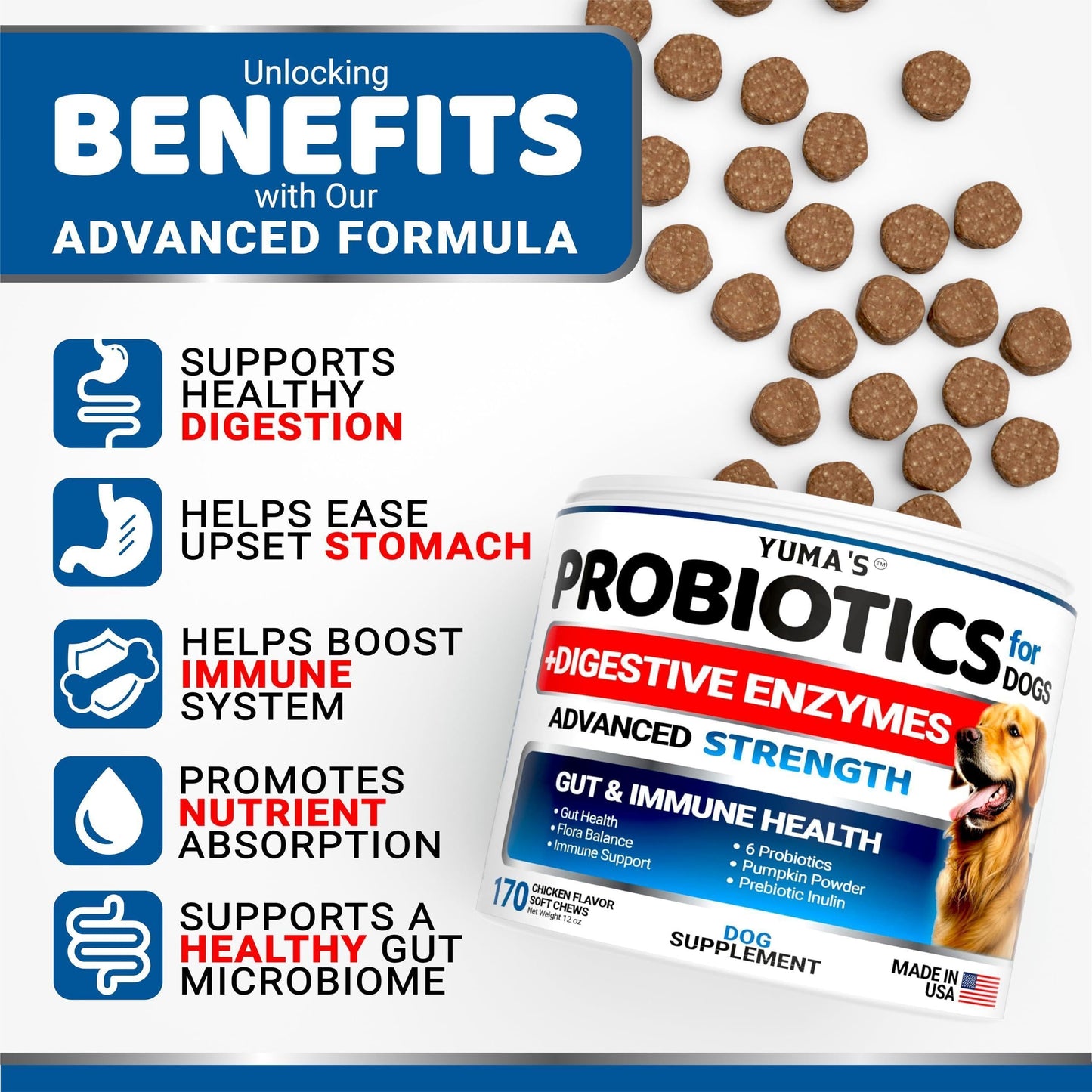 Daily Probiotic Chews for Dogs — 170 Count