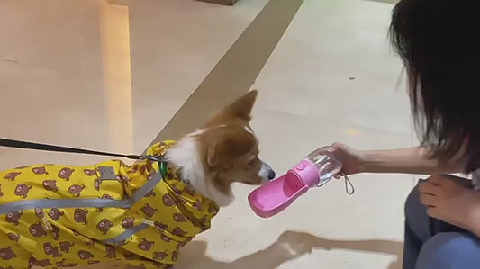 2 in 1 Portable Pet Water Bottle With Food Container