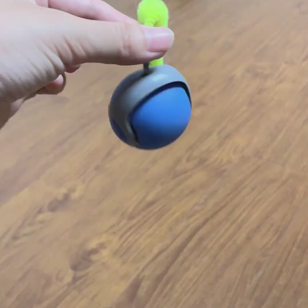 Cat playing with the interactive rolling cat ball toy